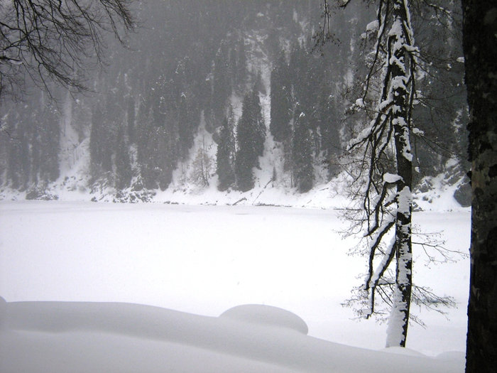Снежное безмолвие. Рица Реликтовый Национальный Парк, Абхазия