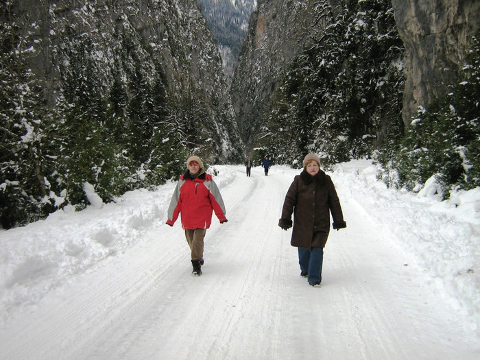 Зимняя дорога Рица Реликтовый Национальный Парк, Абхазия