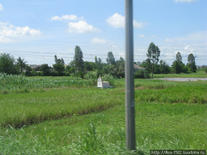 рисовые поля и могилы Хошимин, Вьетнам