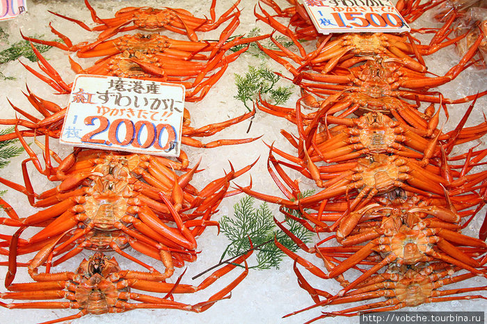vobche * Рыбный рынок в японии * сакайминато, префектура тоттори, япония vobche * Рыбный рынок в японии * сакайминато, префектура тоттори, япония