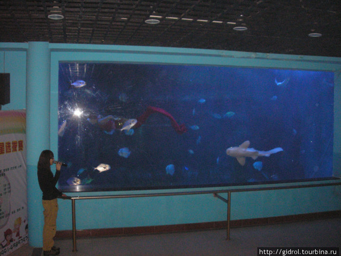 В аквариуме русалка. Урумчи, Китай