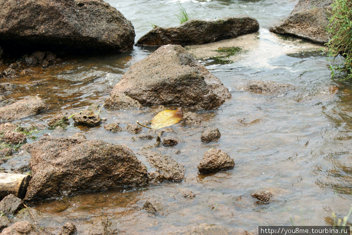 камни в воде Энтеббе, Уганда