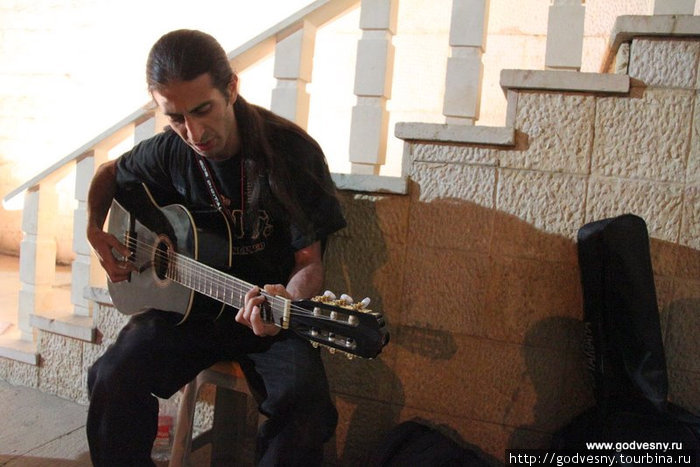 Наввид Наввид