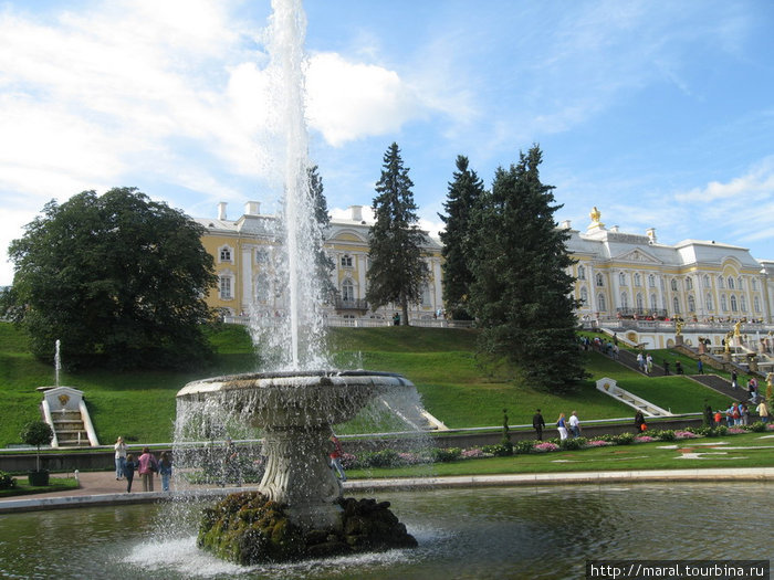 Нагулявшись по Нижнему парку, мы вернулись к Большому дворцу, построенному арх. Франческо Бартоломео (Варфоломеем) Растрелли в 1747—1752 гг. по версальской модели в стиле русского барокко Петергоф, Россия