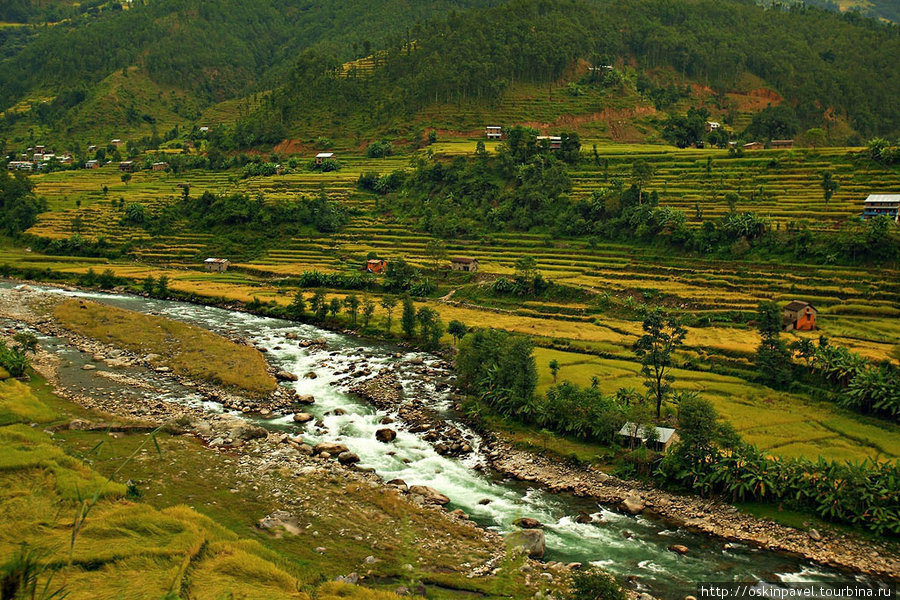 трек по Лангтангу Дунче, Непал