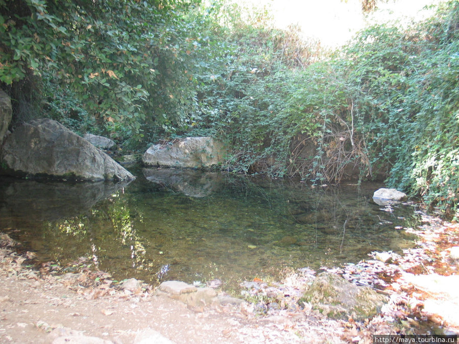 Ручей обмелел Нахаль-Амуд Природный Парк, Израиль