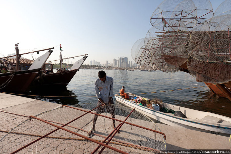 Рыбный рынок в Шардже Шарджа, ОАЭ