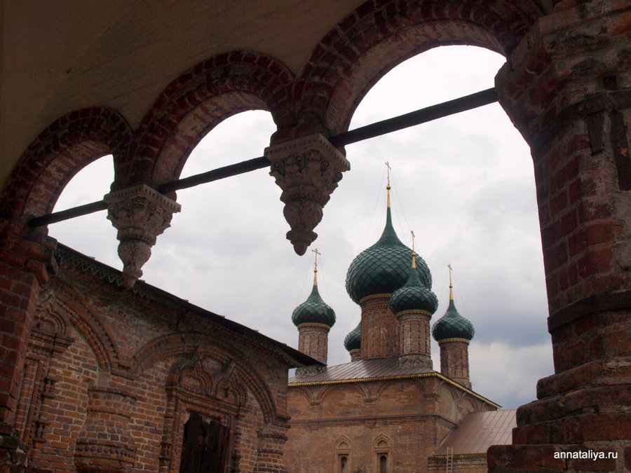 Коровники Ярославль Фото