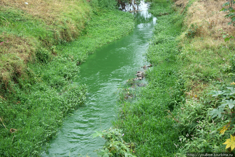 зеленая речка Бужумбура, Бурунди