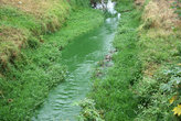 зеленая речка