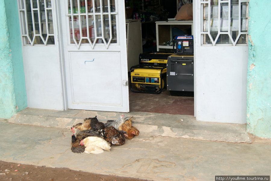 офис и курицы Бужумбура, Бурунди