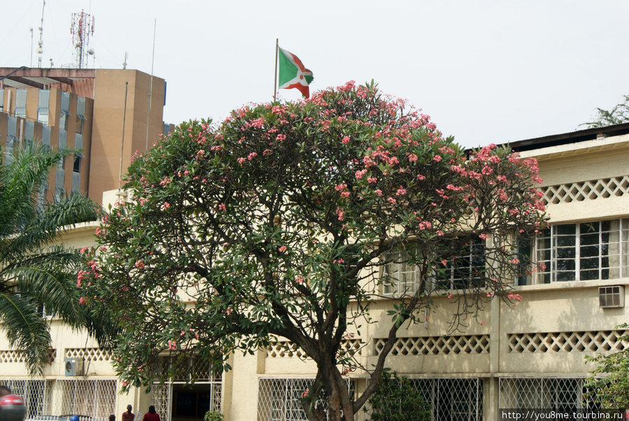 флаг Бурунди над домом Бужумбура, Бурунди