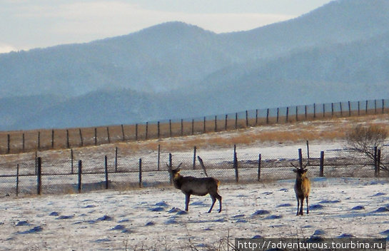 С внедорожника можно заняться фотоохотой С внедорожника можно заняться фотоохотой