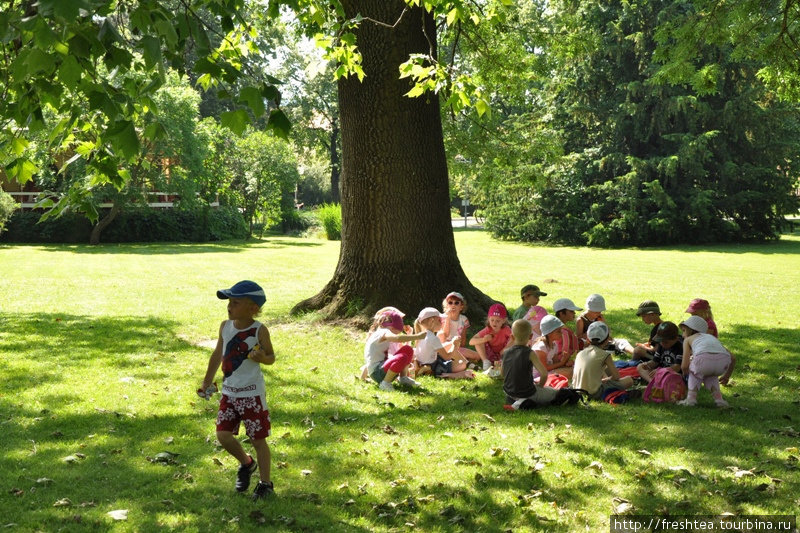 В парке с вековыми платанами и липами часто видишь ребятню: в Пьештянах предусмотрены и лечебные курсы для детей. Пьештяны, Словакия