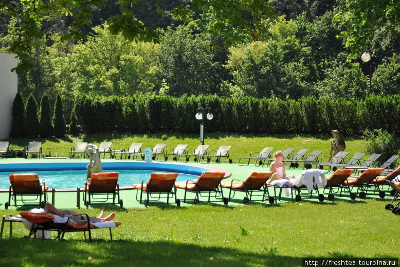 Кроме целебного ила со дна реки Ваг, к услугам гостей курорта бассейны с минеральной водой, мягкий климат и солнечные дни. Пьештяны, Словакия