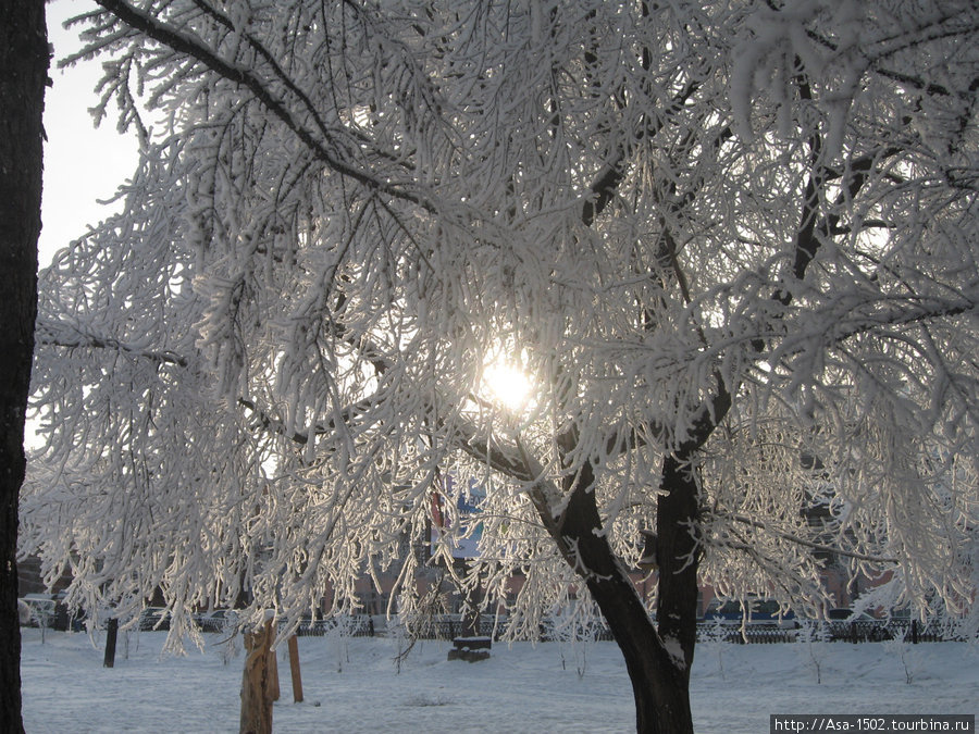 Такая красота у нас была 3 дня зимой 2007 года. Фотографии сделаны в парке Зеленый сквер на площади Октября Барнаул, Россия