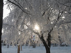 Такая красота у нас была 3 дня зимой 2007 года. Фотографии сделаны в парке Зеленый сквер на площади Октября