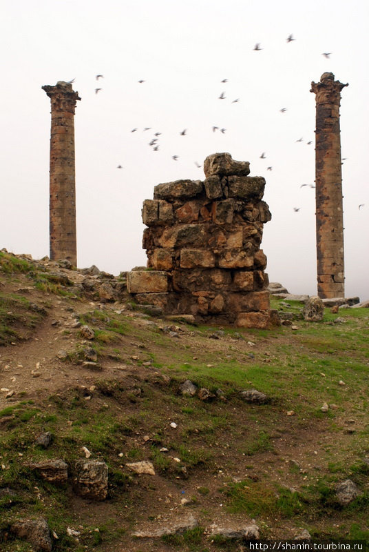 Коринфские колонны Шанлыурфа, Турция