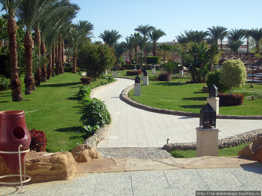 зона отдыха отеля Хургада, Египет
