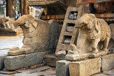 храм Виджайя Виталы — каменная колесница — детали