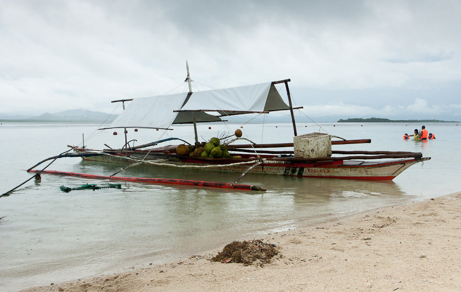 Подвозят буко — кокосы, по 30 песо за штуку. Пуэрто-Принсеса, остров Палаван, Филиппины