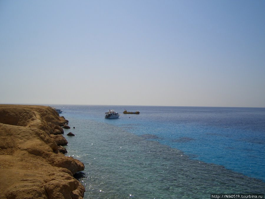 Шарм-Эль-Шейх. Пляж отеля Beach Albatros Sharm Шарм-Эль-Шейх, Египет