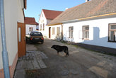 Обычный дворик со старой машиной и собакой