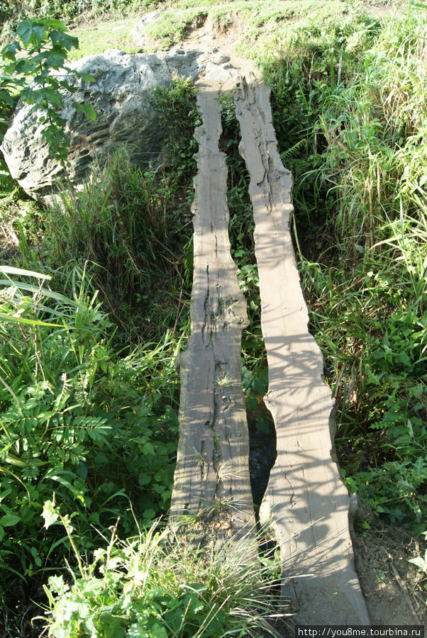 мостик Рвензори Маунтинс Национальный Парк, Уганда