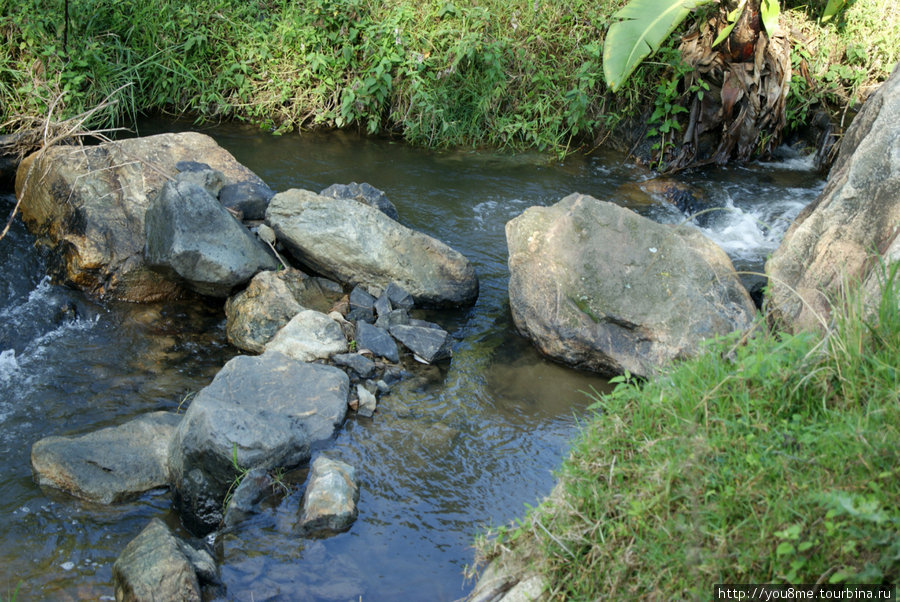 течет среди камней Рвензори Маунтинс Национальный Парк, Уганда
