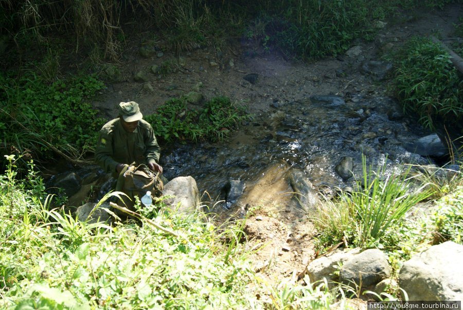 здесь остановка — набрать воды из ручья Рвензори Маунтинс Национальный Парк, Уганда