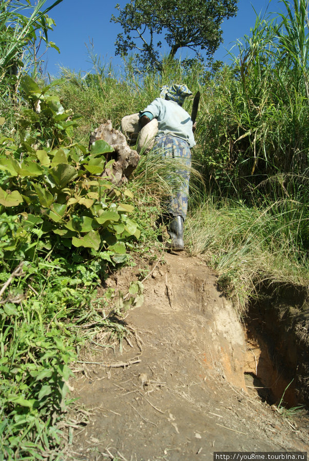 здесь полно местных Рвензори Маунтинс Национальный Парк, Уганда