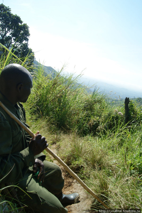 опять меня ждут, а я фотографирую — чтобы отдышаться :) Рвензори Маунтинс Национальный Парк, Уганда