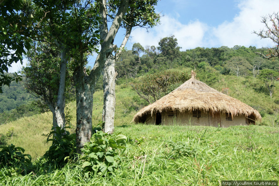 пустой домик, хозяин умер Рвензори Маунтинс Национальный Парк, Уганда