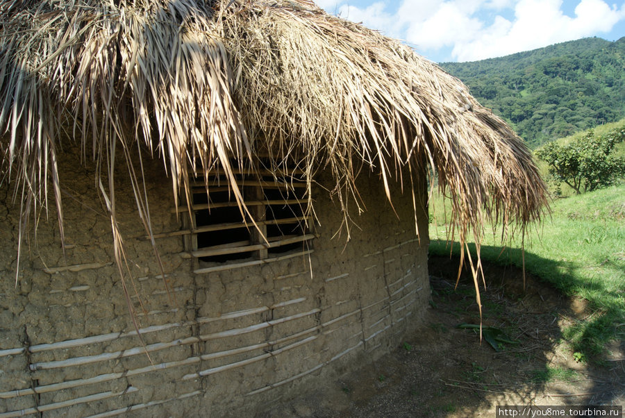 домик, крытый соломой Рвензори Маунтинс Национальный Парк, Уганда
