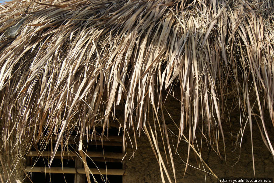 солома на крыше и окошко Рвензори Маунтинс Национальный Парк, Уганда