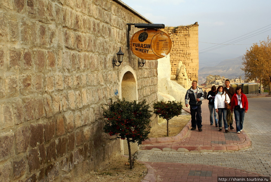 Туристы идут на дегустацию на винзавод Турасан Ургюп, Турция