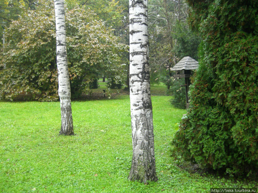 Парк во время дождя Мишкольц, Венгрия