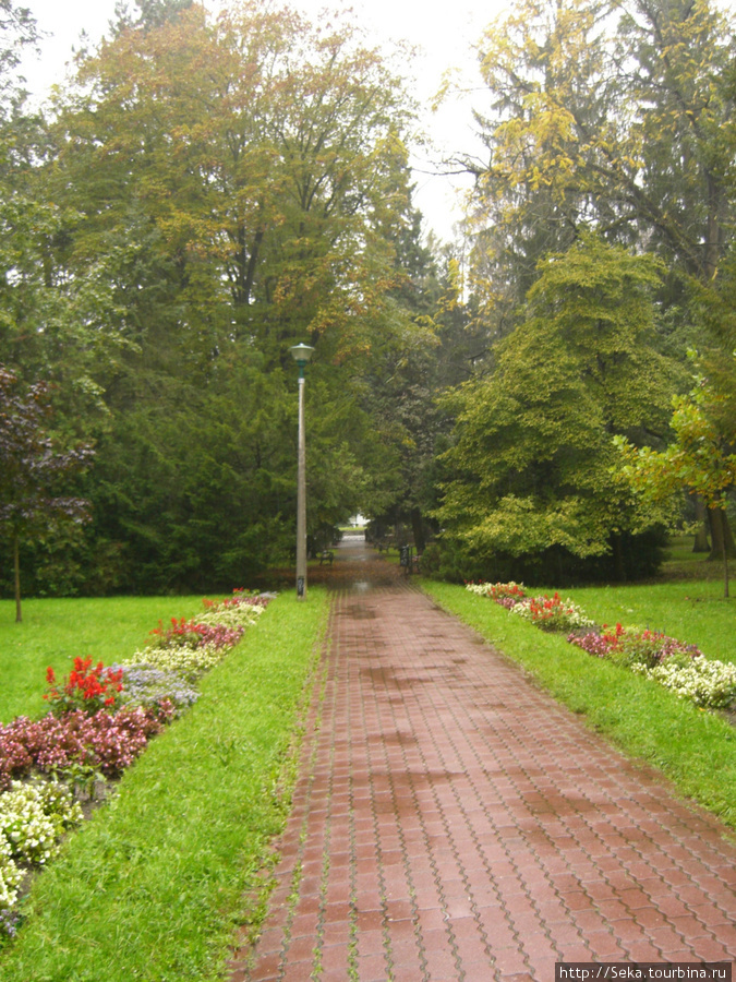 Парк во время дождя