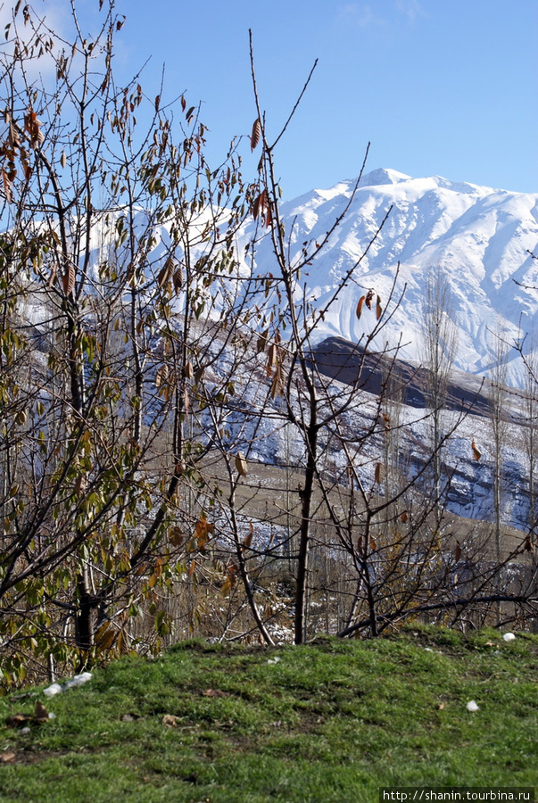 Снижу зеленая трава, сверху — снег Размиан, Иран