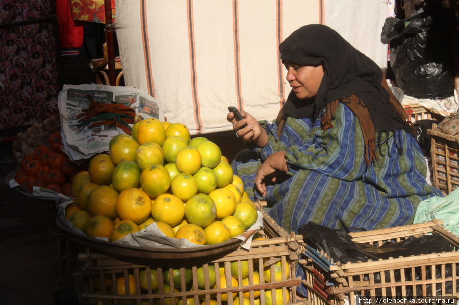 бабушка и апельсины Каир, Египет