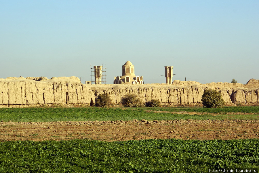 Огород в крепости Кашан, Иран