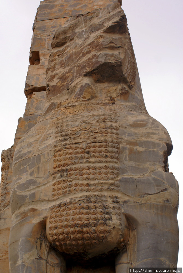 Крылатый конь Персеполь древний город, Иран