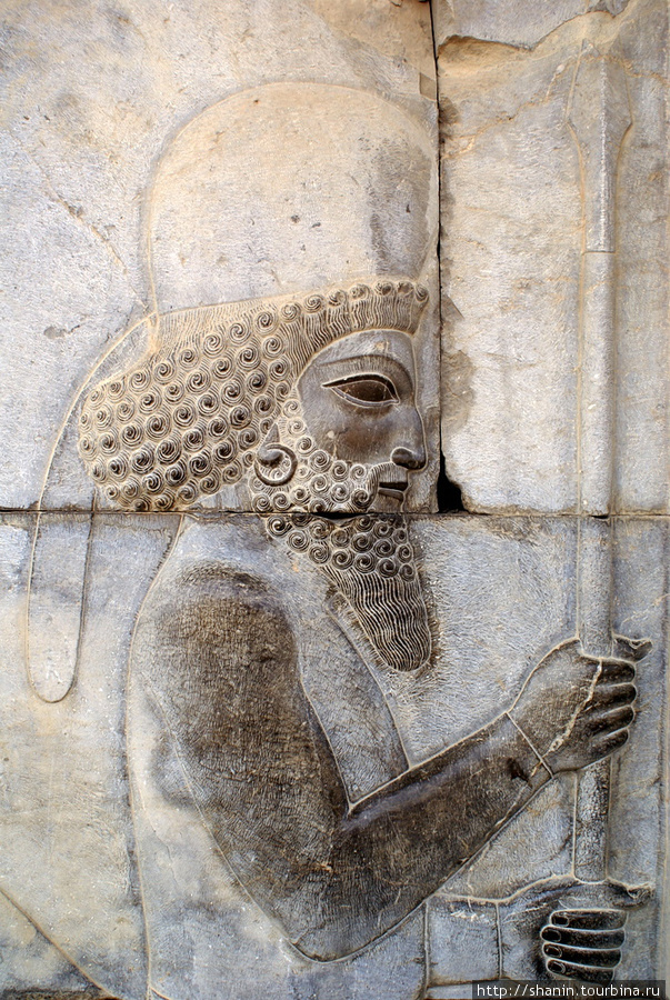 Персидский воин с бородой Персеполь древний город, Иран