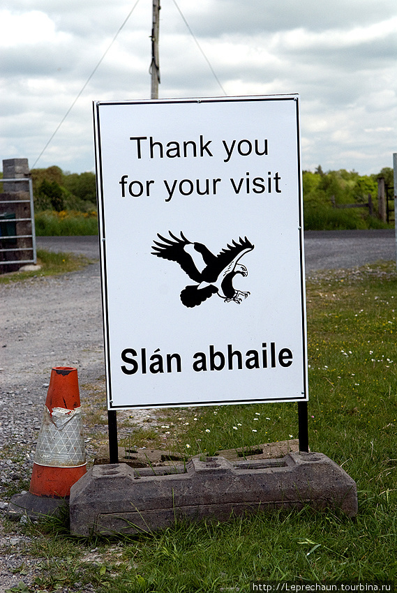 Орлята учатся летать Графство Слайго, Ирландия