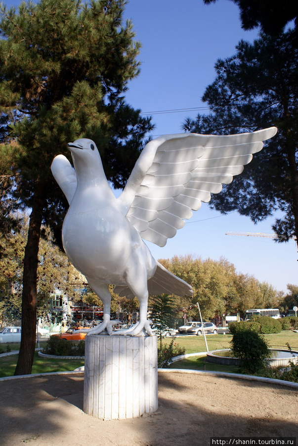 Белый голубь мира Йезд, Иран