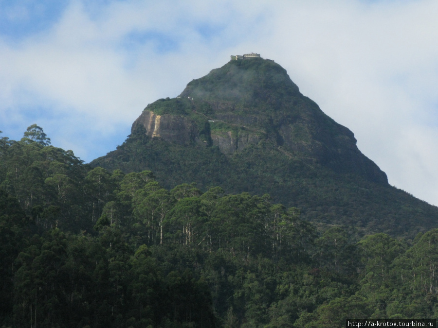 Вершина Шри Пада Шри Пада Пик (Пик Адама 2243м)  заповедник дикой природы, Шри-Ланка