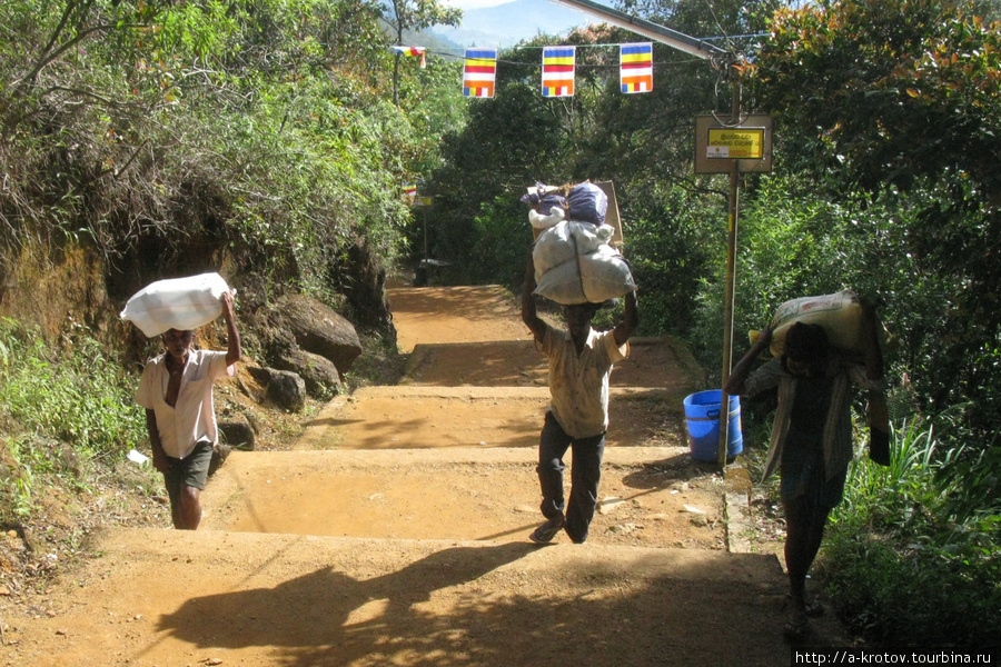 Носильщики поднимают на гору всякие вкусные и полезные вещи для тысяч туристов Шри Пада Пик (Пик Адама 2243м)  заповедник дикой природы, Шри-Ланка