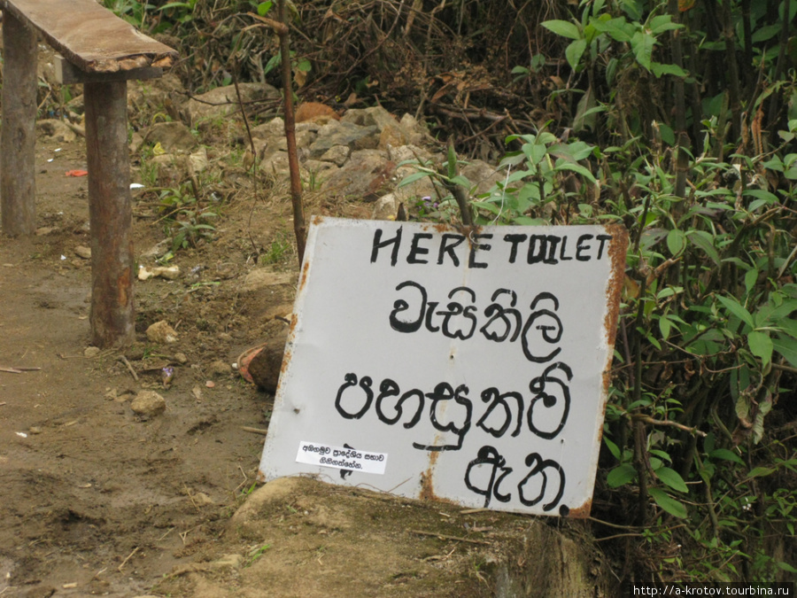 Пик Адама (он же Шри Пад), вершина даже для самых ленивых! Шри Пада Пик (Пик Адама 2243м)  заповедник дикой природы, Шри-Ланка