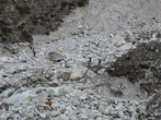 Каменный хаос морены ледника Кхумбу