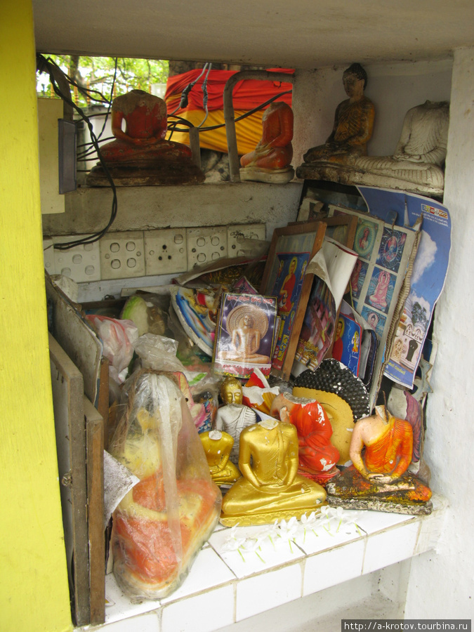 Склад испорченных и поломанных Будд. Выбросить нельзя, но и молиться им уже не стоит... Тиссамахарама, Шри-Ланка